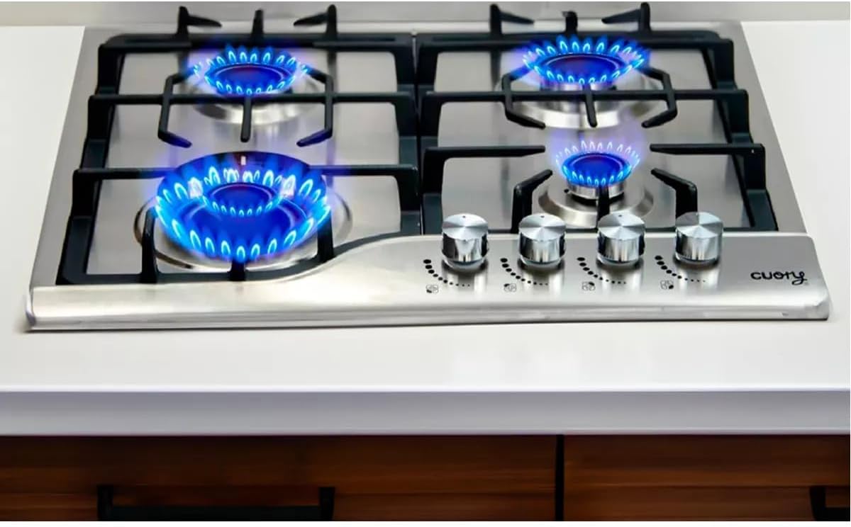 Parrilla a Gas 4 quemadores