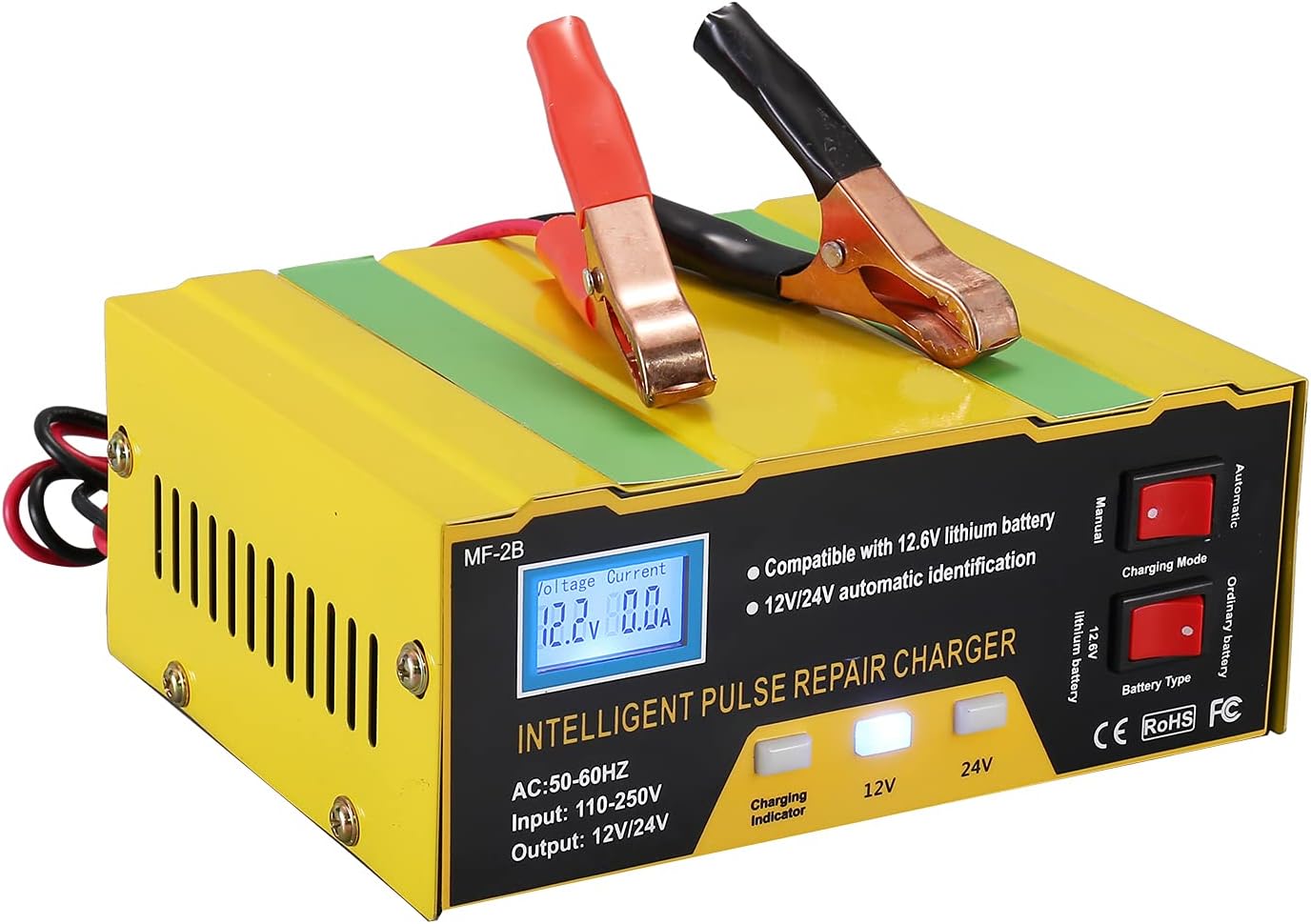 Cargador de batería con pantalla digital de 12V / 24V