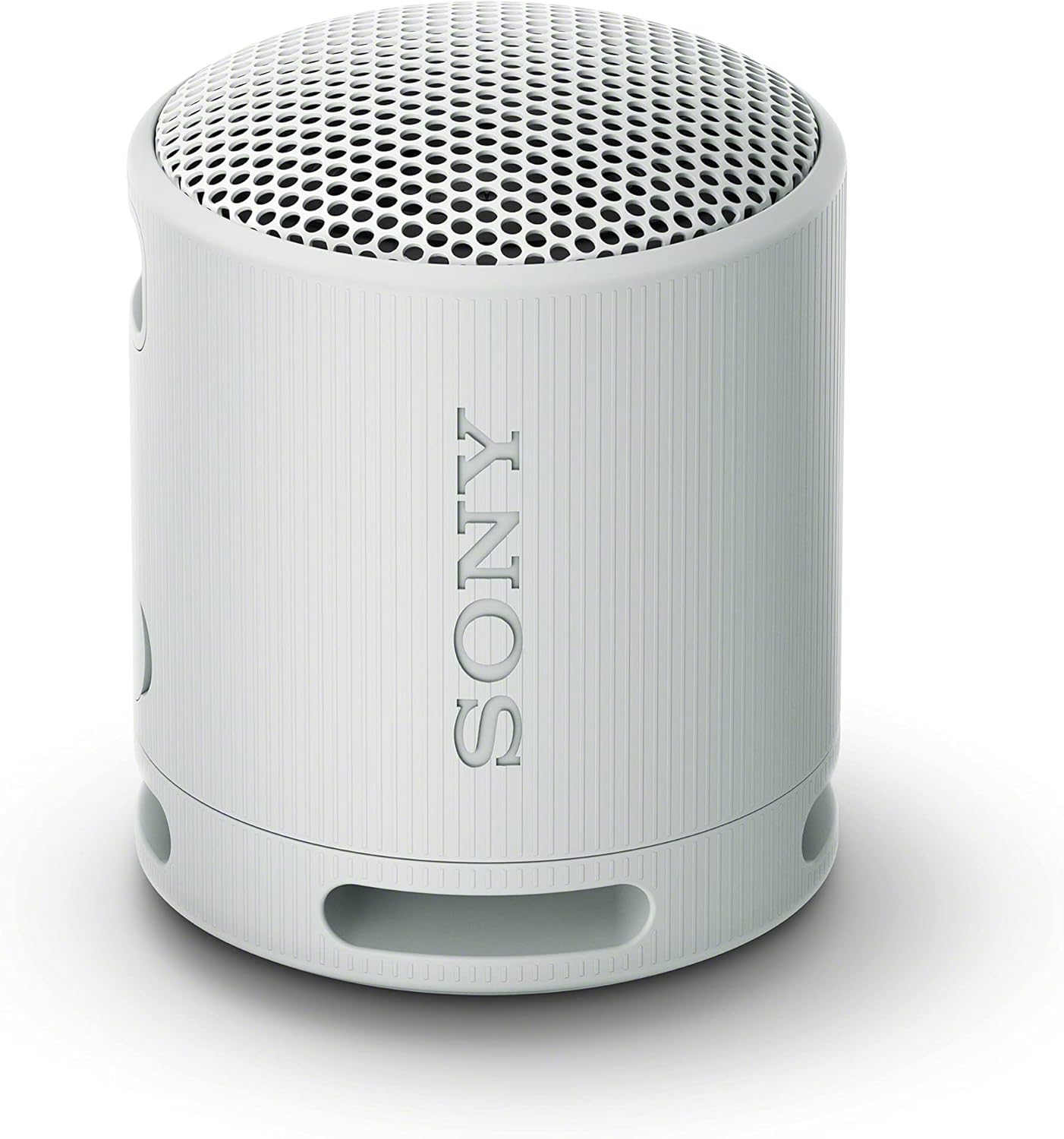 Sony Altavoz inalámbrico SRSXB100 Gris