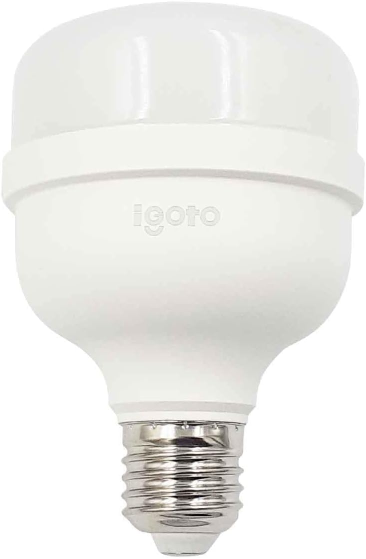 iGOTO F10520 Foco led T80, 20W