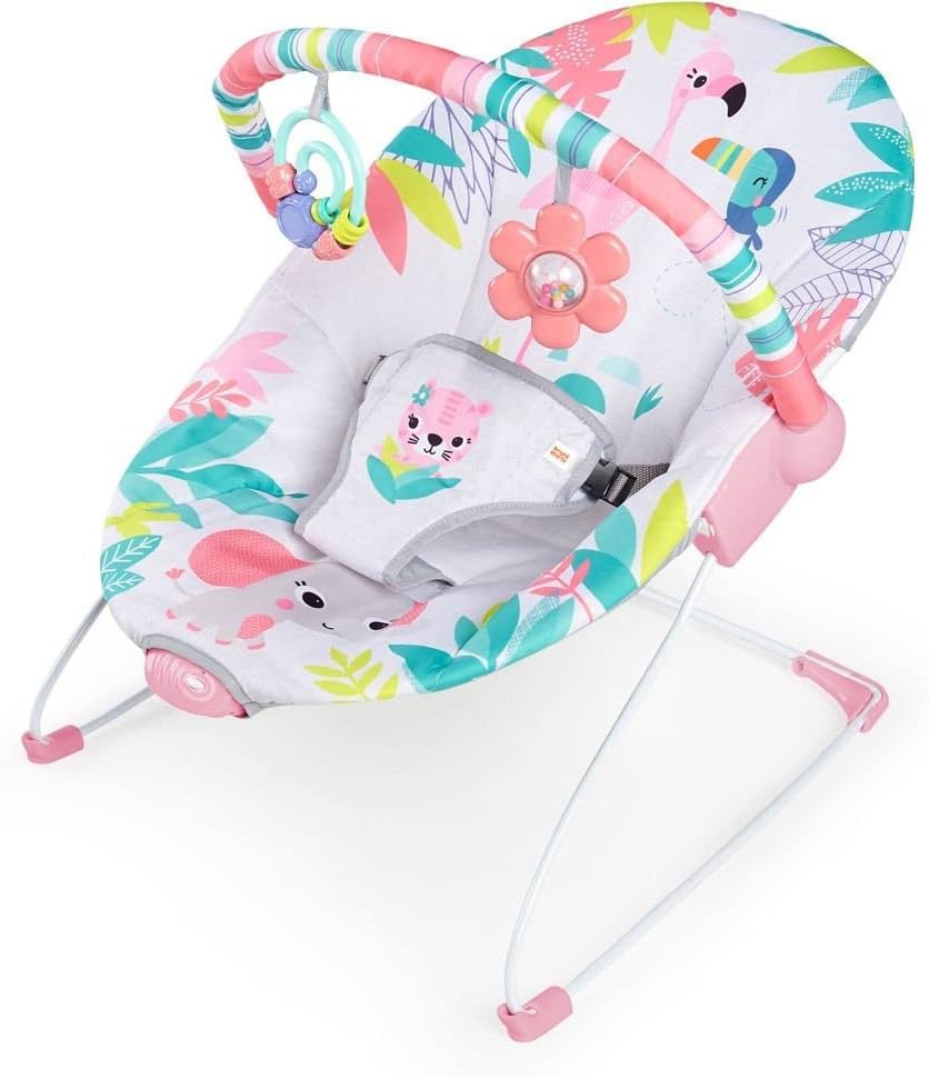 Bright Starts Mecedora Con Motivos De Flamingos