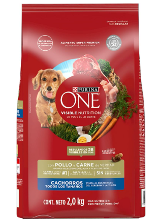 Purina One Dry Perro Puppy Pollo y Carne 2 kg