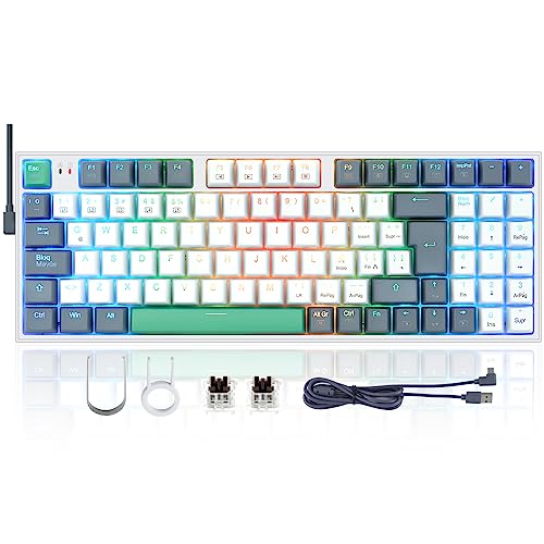 LORISKORS TR95 Teclado Mecánico Español Compacto 95 Teclas