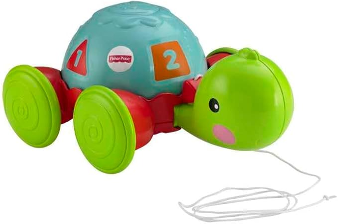 Tortuga De Aprendizaje para bebe
