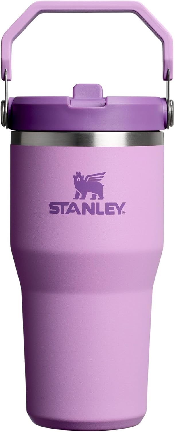 STANLEY IceFlow 2.0 – Vaso con popote abatible con asa, 20 onzas