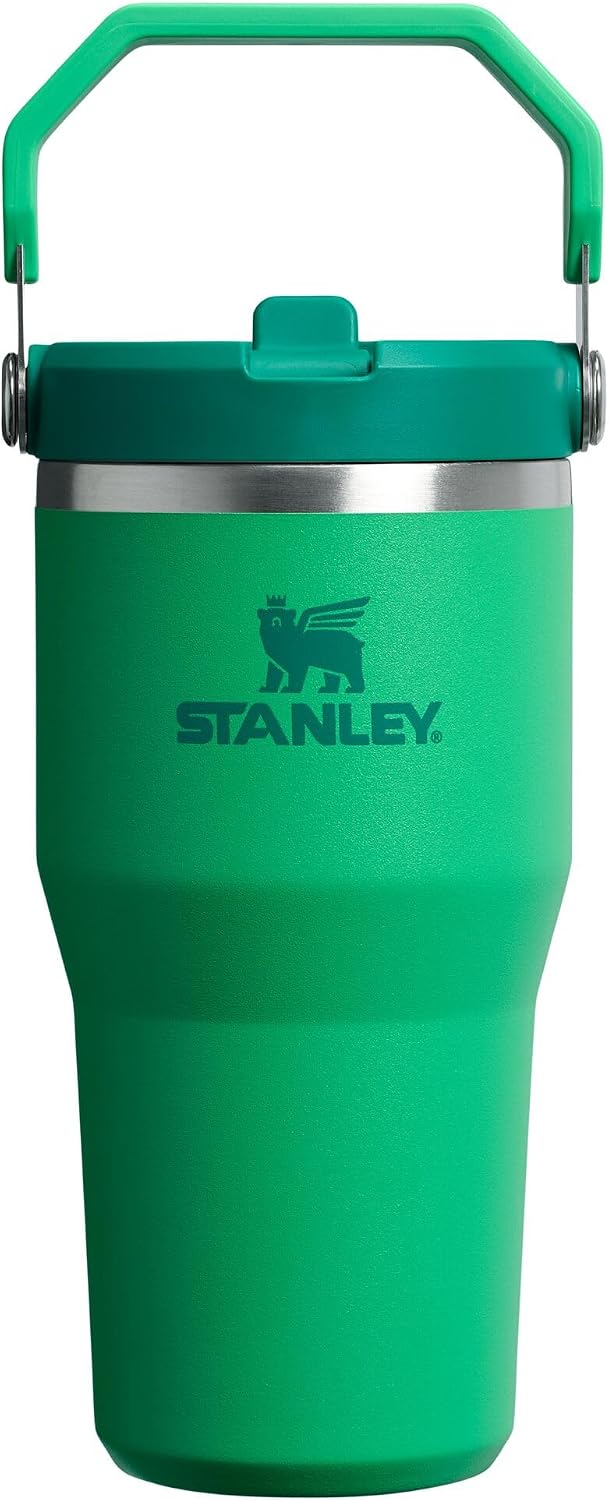 Stanley IceFlow 2.0 – Vaso con popote abatible con asa, 20 onzas