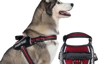 KARA Arnés para Perros Transpirable Tipo Silla de Montar con 2 Velcros