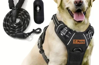 Aliexpress: Conjunto de Correa y Arnés Antitirones