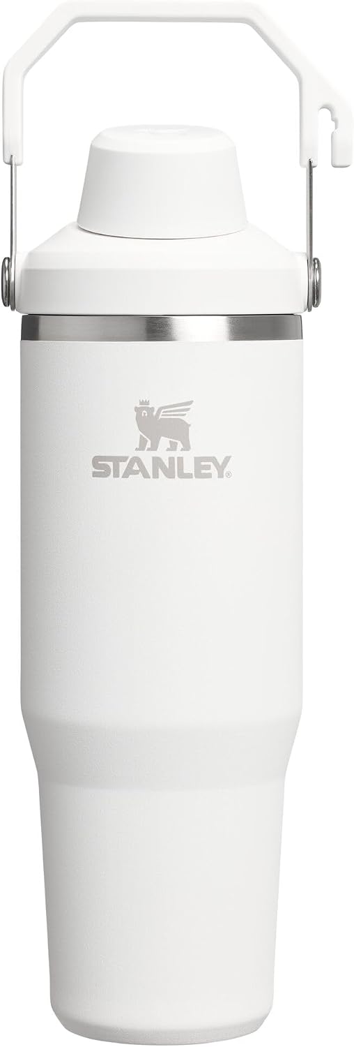 IceFlow 2.0 FastFlow – Vaso de 30 onzas