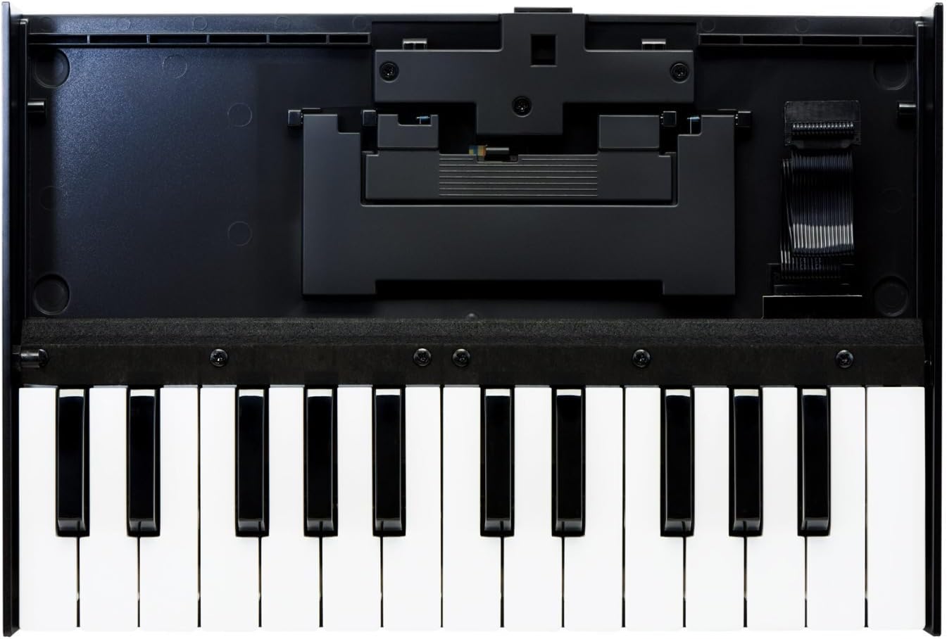 Roland K-25M Teclado portátil, Multicolor