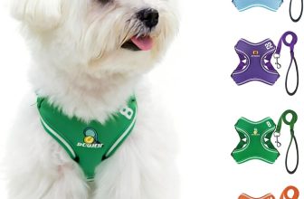 KARA Arnés para Perros y Gatos Pequeños con Correa 1.5 m