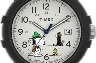 Timex Expedition Camper – Reloj para hombre con correa de nailon y piel