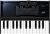 Roland K-25M Teclado portátil, Multicolor